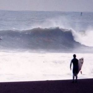 Meet your Posher, Shane